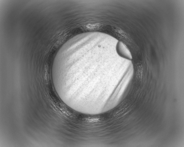 X0000052950651200508050923