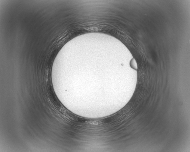 X0000052950652200508050923