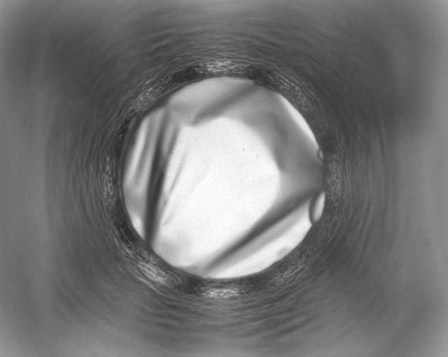 X0000052950653200508050923