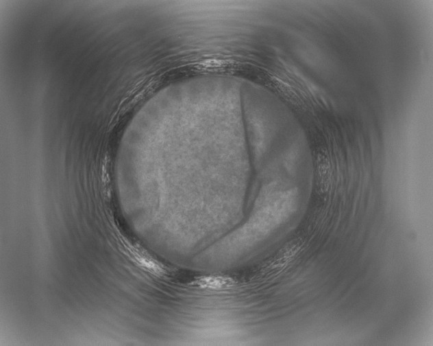 X0000052950654200508050923