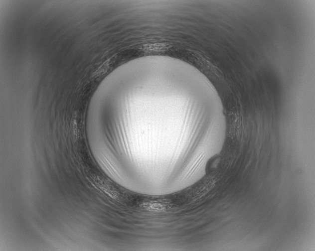 X0000052950655200508050923