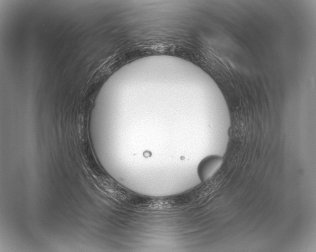 X0000052950656200508050923