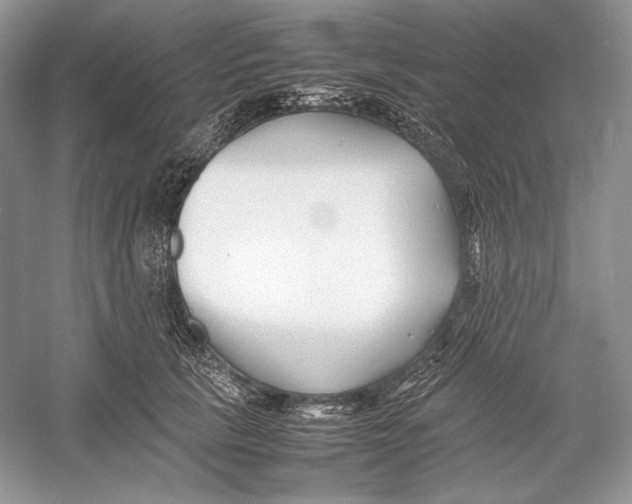 X0000052950657200508050923