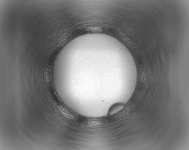 X0000052950658200508050923