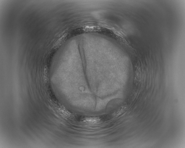 X0000052950659200508050923