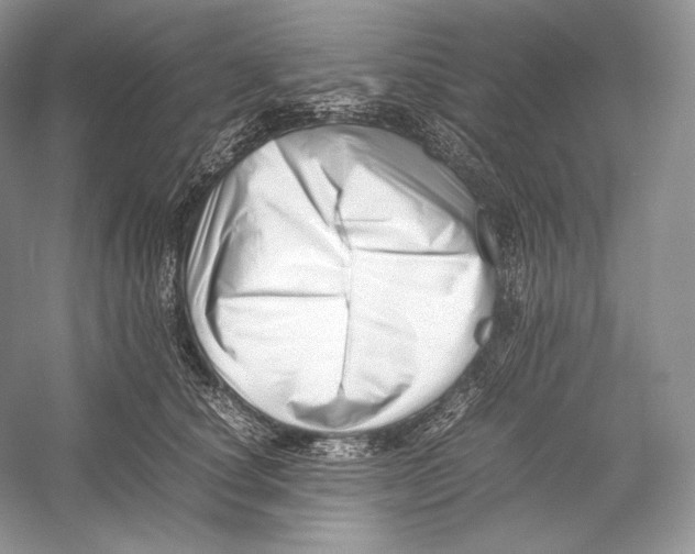 X0000052950660200508050923