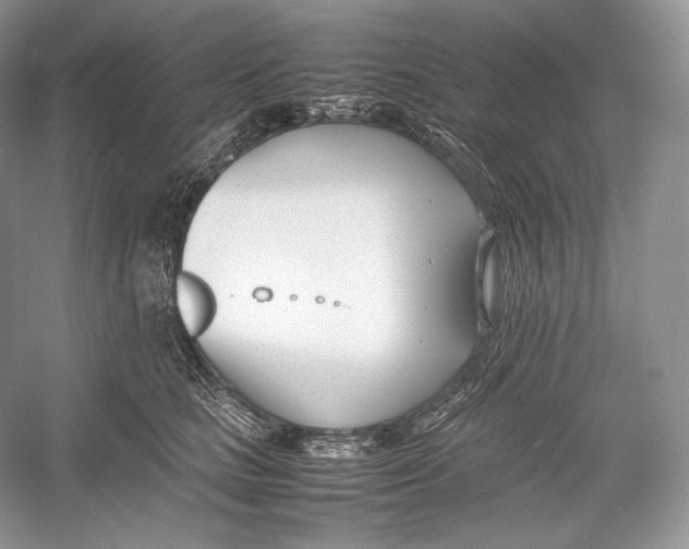 X0000052950661200508050923