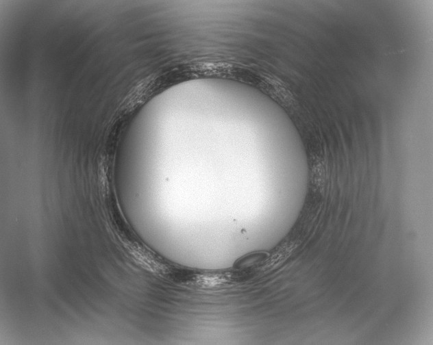 X0000052950662200508050923