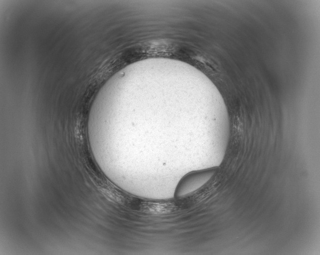 X0000052950663200508050923