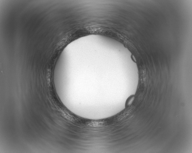 X0000052950664200508050923