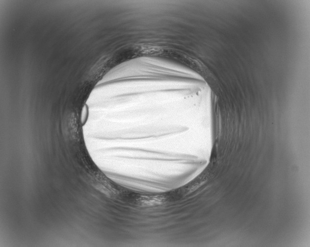 X0000052950667200508050923