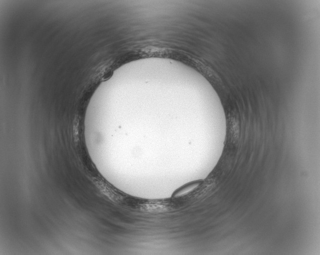 X0000052950668200508050923