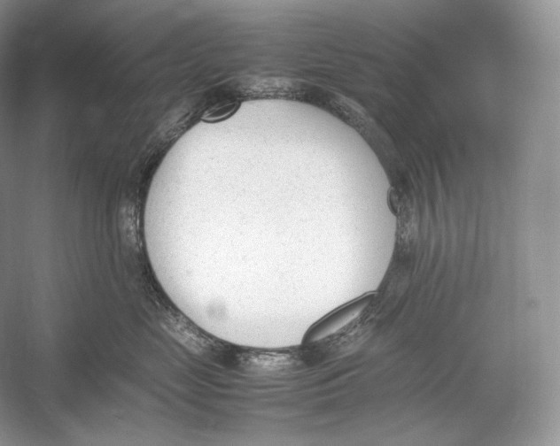 X0000052950669200508050923