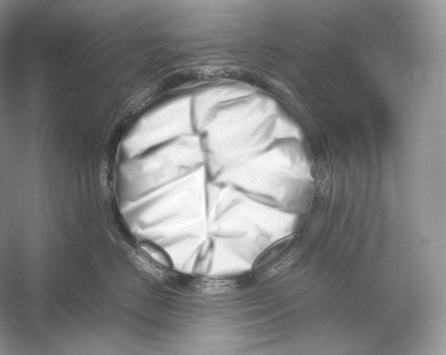 X0000052950670200508050923