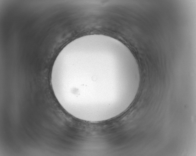 X0000052950672200508050923