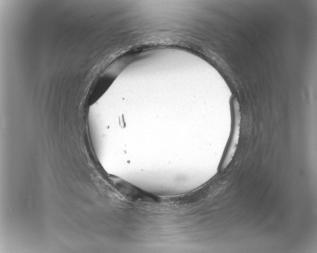 X0000052950673200508050923