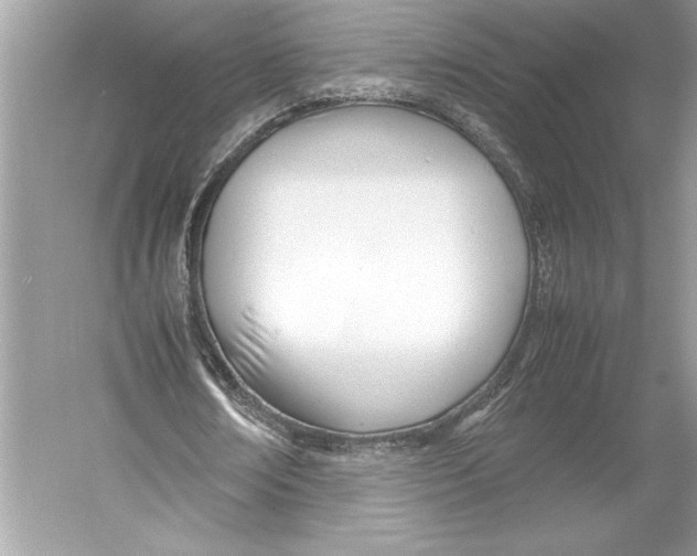 X0000052950674200508050923