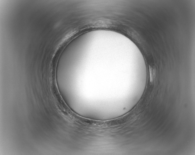 X0000052950675200508050923