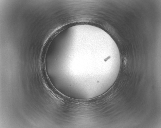 X0000052950676200508050923