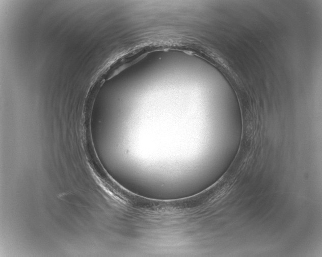 X0000052950677200508050923