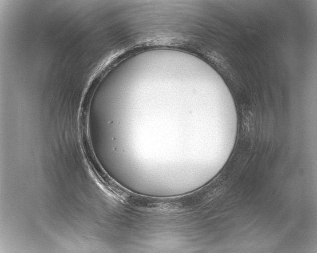 X0000052950678200508050923