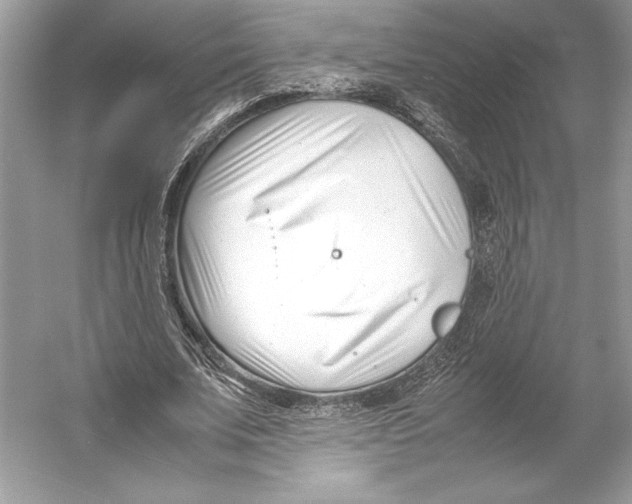 X0000052950679200508050923