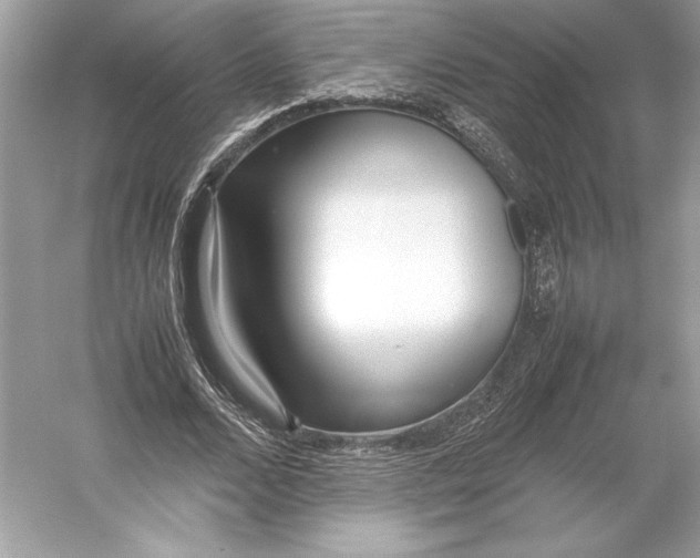 X0000052950680200508050923