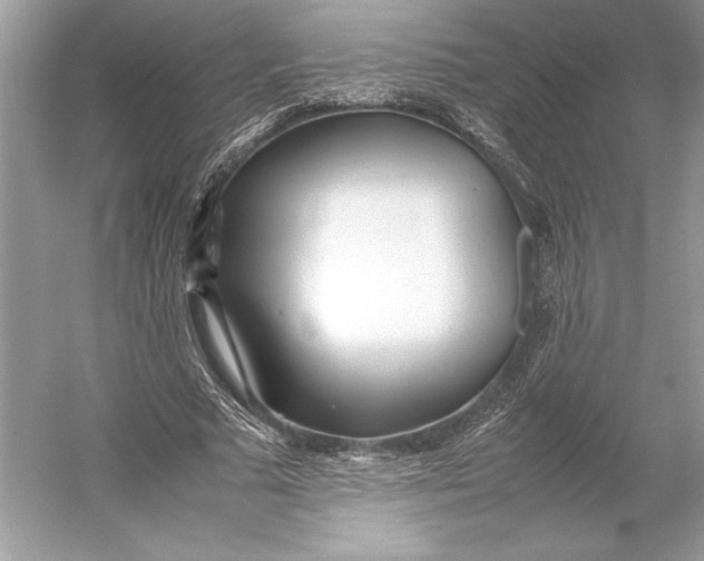 X0000052950681200508050923