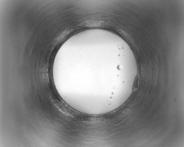 X0000052950682200508050922