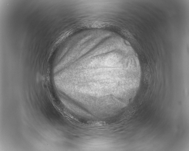 X0000052950683200508050922