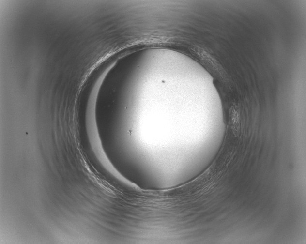 X0000052950684200508050922