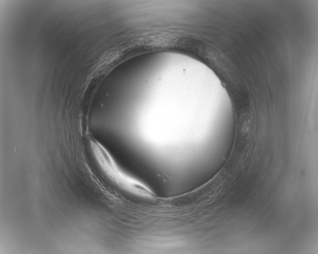 X0000052950685200508050922