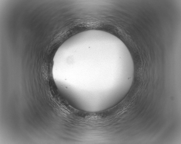 X0000052950689200508050922