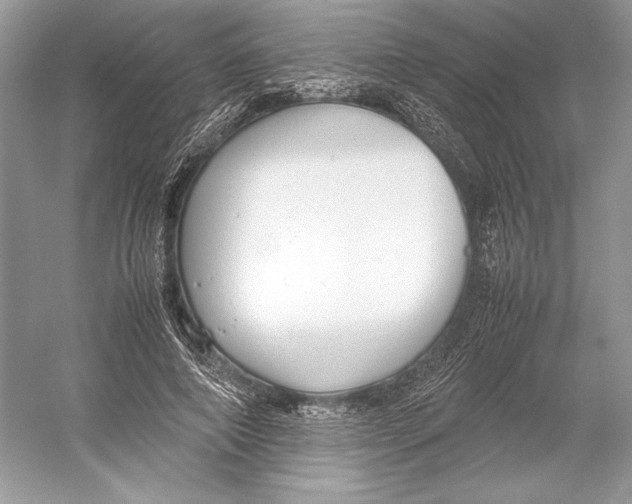 X0000052950690200508050922