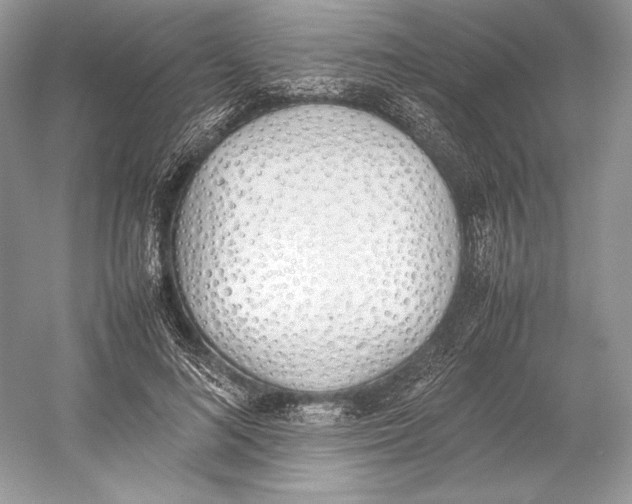 X0000052950692200508050922