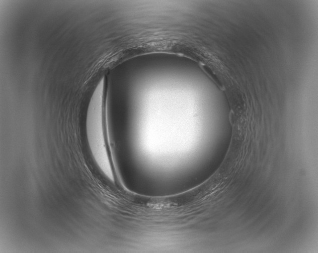 X0000052950693200508050922