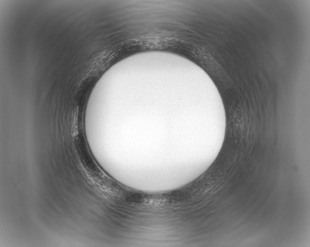 X0000052950694200508050922