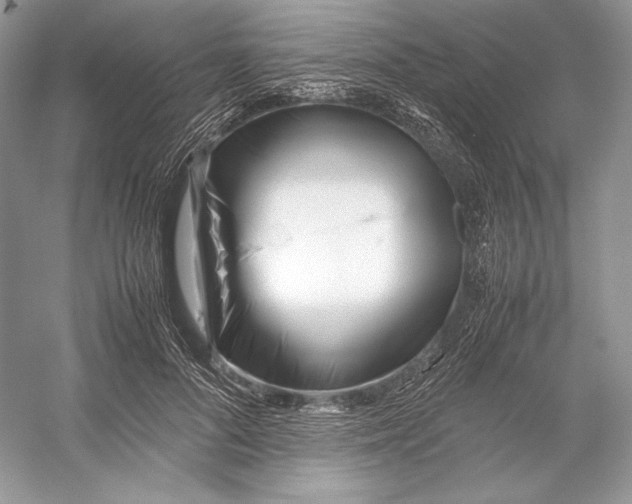 X0000052950696200508050922