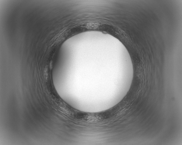 X0000052950697200508050922