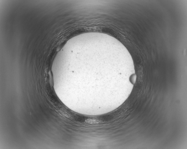 X0000052950699200508050922