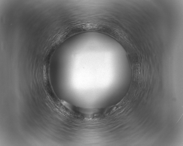 X0000052950700200508050922