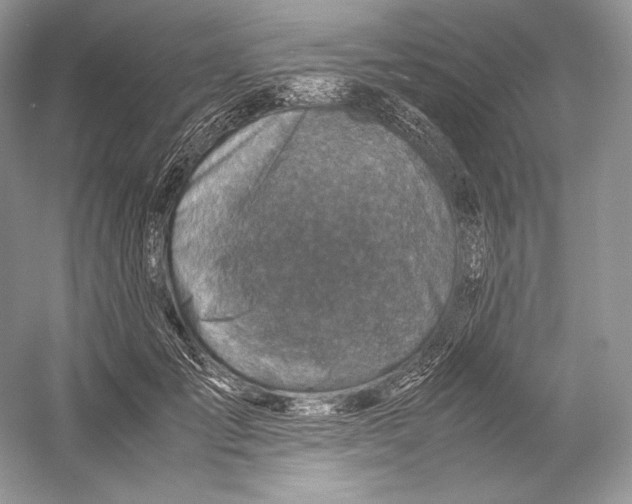 X0000052950701200508050922