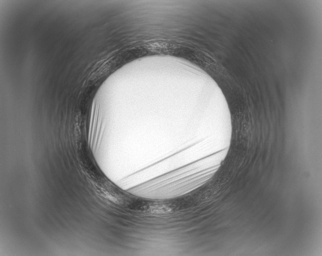 X0000052950702200508050922