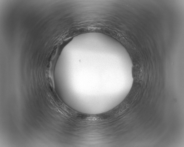 X0000052950704200508050922