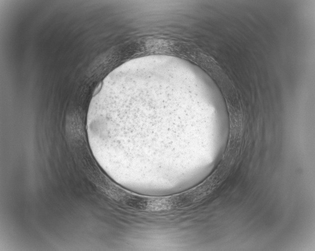 X0000052950705200508050922