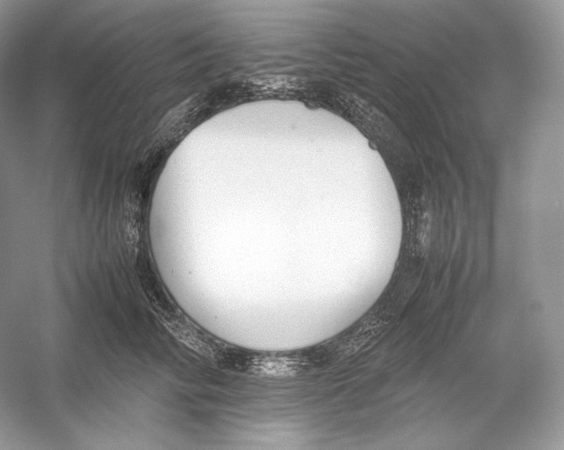 X0000052950710200508050922