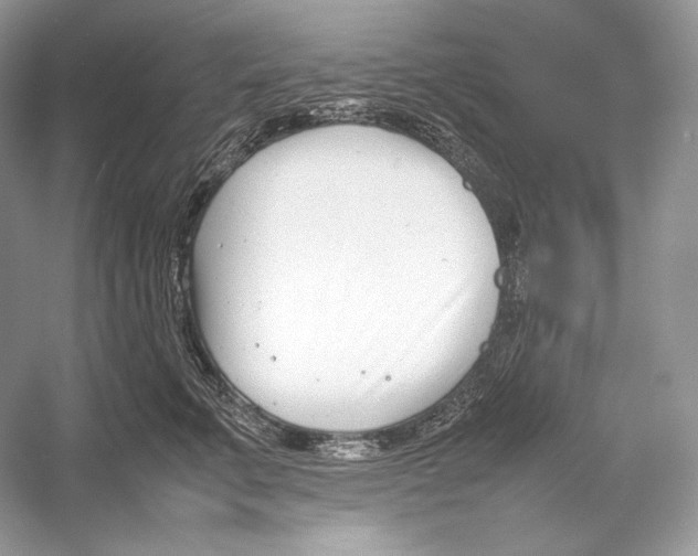 X0000052950711200508050922