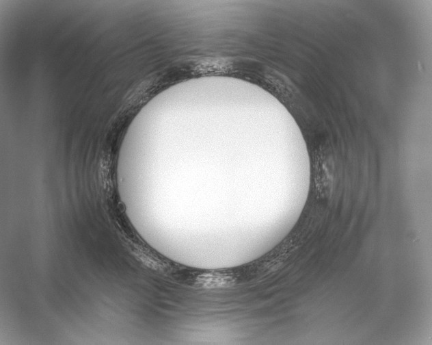 X0000052950714200508050922