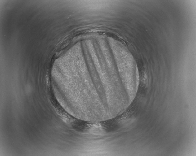 X0000052950715200508050922