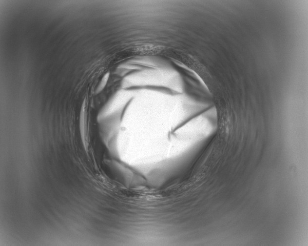 X0000052950716200508050922